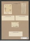 Coscinodiscus lewisianus Grev. (de-Toni-Nr.: Genus 202, Species 5446) Zeichnungen Sammlung Grunow Nr. 8897 (NHMW-BOT-W0378551)